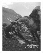 LA TRANSHUMANCE DE MARCEL COEN